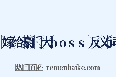 嫁给豪门大boss反义词是什么意思的图片